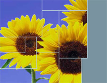 Открыть картинку