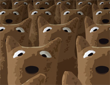 DoggNation